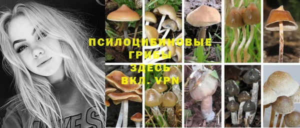 альфа пвп Волоколамск
