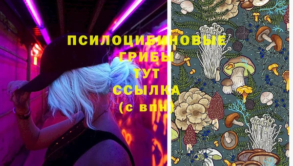 альфа пвп Волоколамск