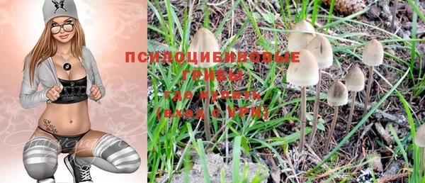 не бодяженный Карпинск