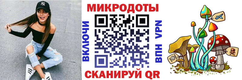 Галлюциногенные грибы Psilocybe Мончегорск