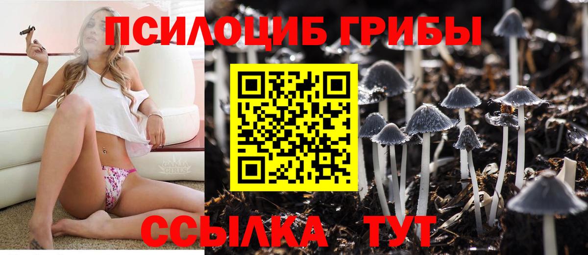 Мончегорск  Галлюциногенные грибы мухоморы  Галлюциногенные грибы MAGIC MUSHROOMS  Вход с VPN 