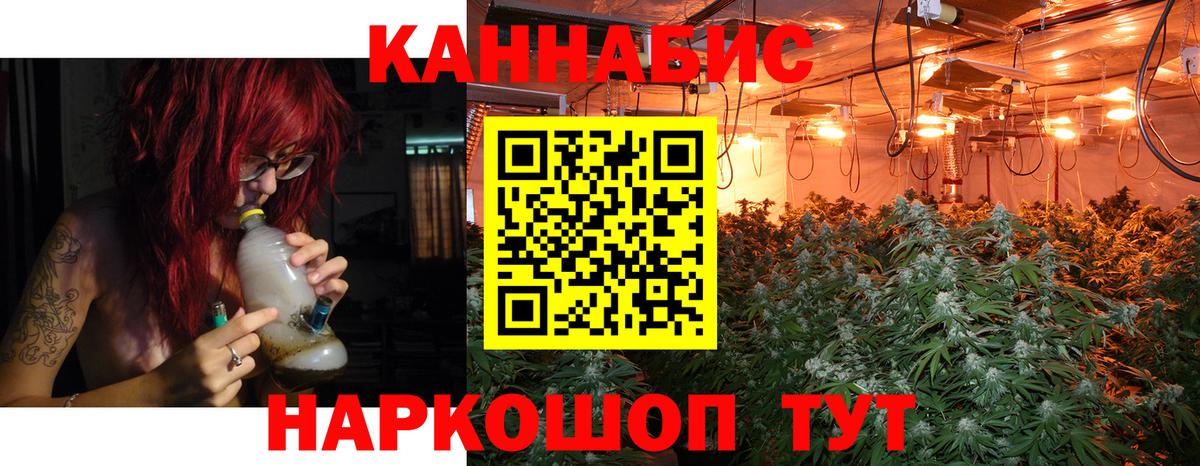МАРИХУАНА ГИДРОПОН  Канабис THC 21%  Мончегорск  Вход с VPN  Бошки Шишки тримм 